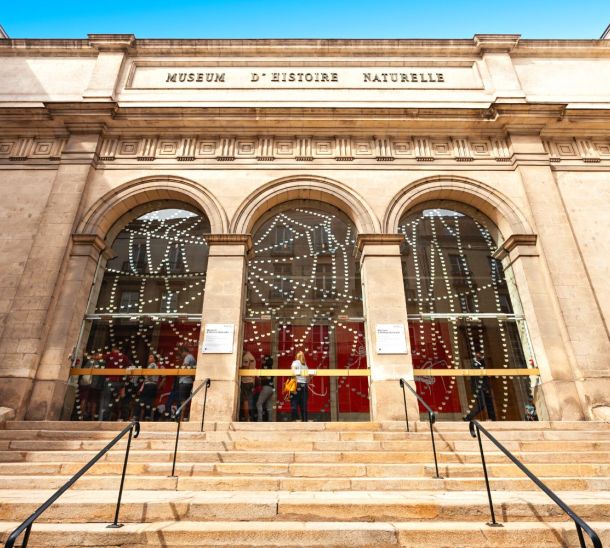 Le Muséum d'Histoire Naturelle de Nantes