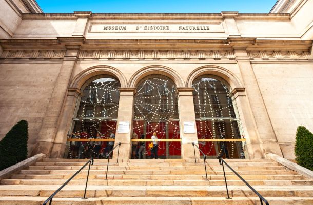 Le Muséum d'Histoire Naturelle de Nantes