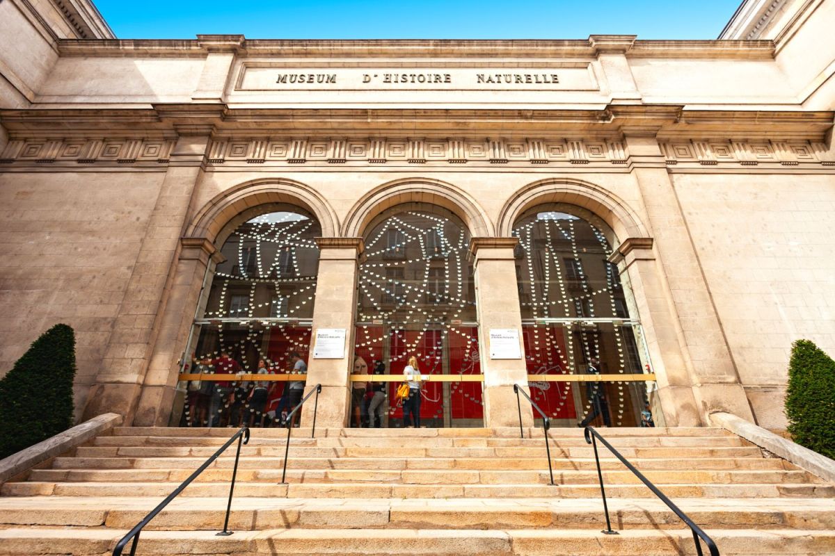 Le Muséum d'Histoire Naturelle de Nantes