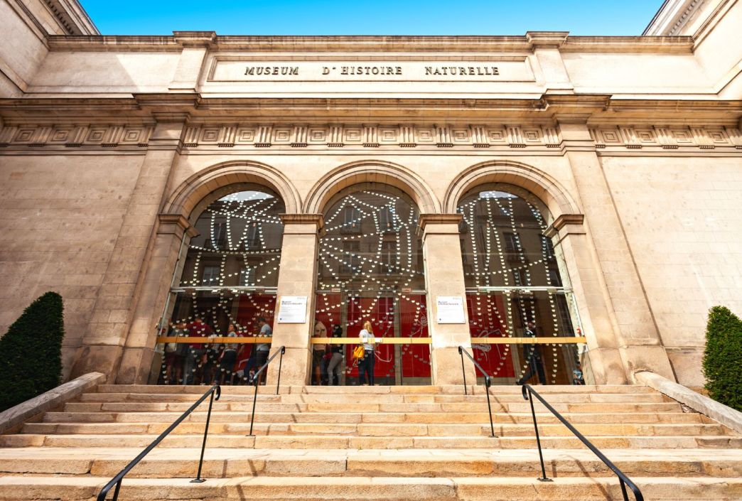 Le Muséum d'Histoire Naturelle de Nantes